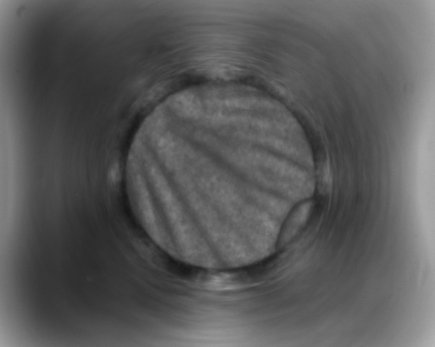 X0000088140472200706111428