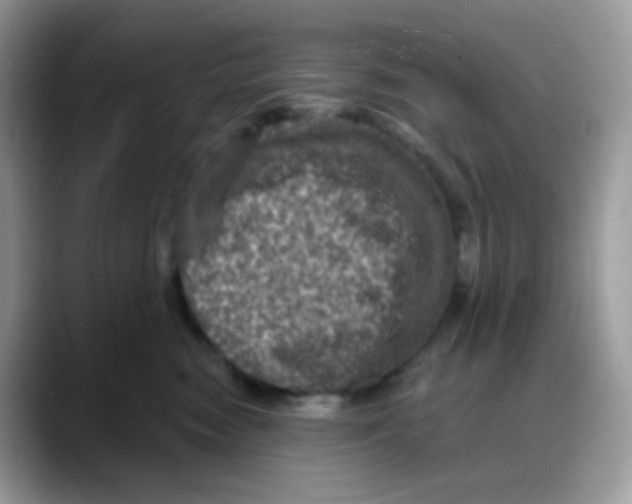 X0000088140474200706111428