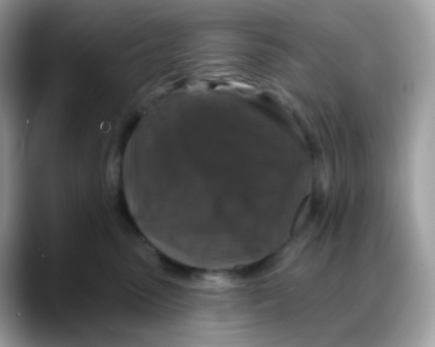 X0000088140475200706111428