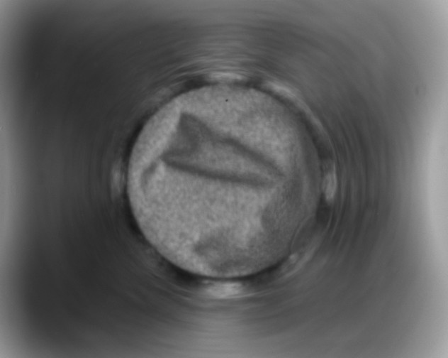 X0000088140476200706111428