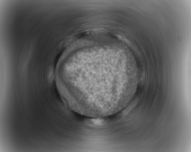 X0000088140478200706111429