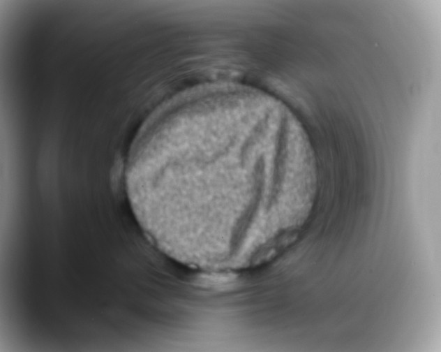 X0000088140480200706111429