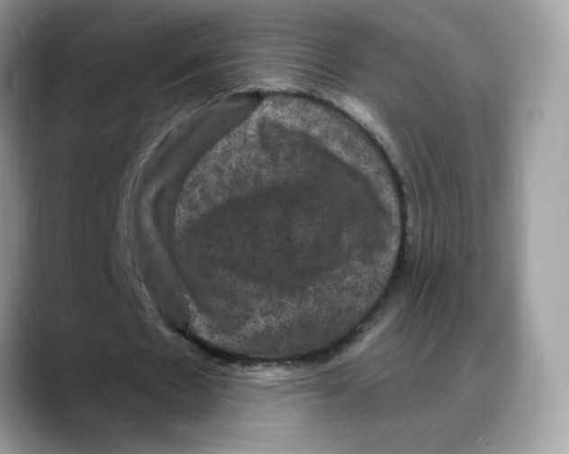 X0000088140481200706111428