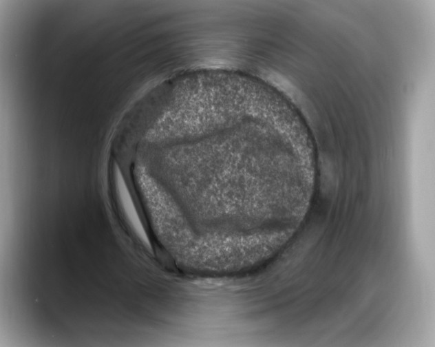 X0000088140482200706111428