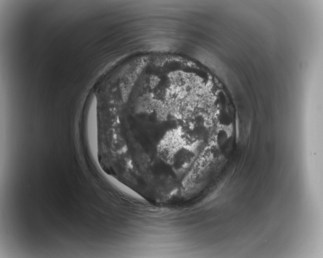 X0000088140483200706111428