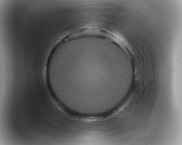 X0000088140485200706111428