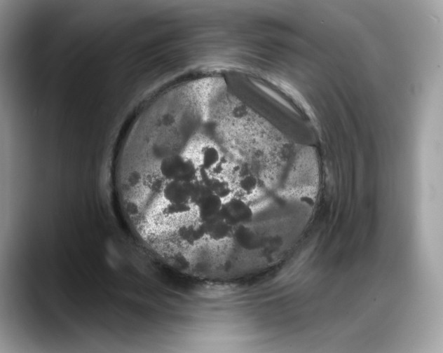 X0000088140487200706111428