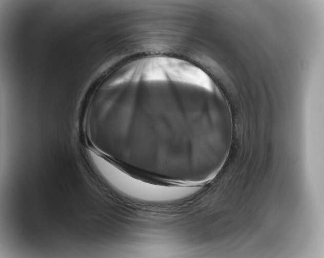 X0000088140488200706111428