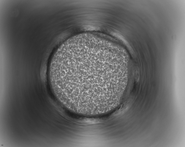 X0000088140490200706111428