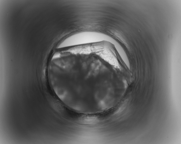 X0000088140491200706111428