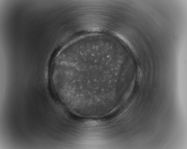 X0000088140494200706111428