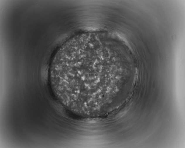 X0000088140495200706111428