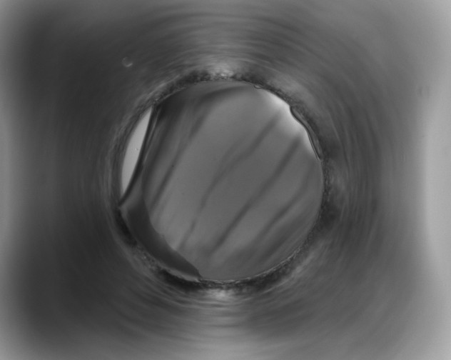 X0000088140496200706111428