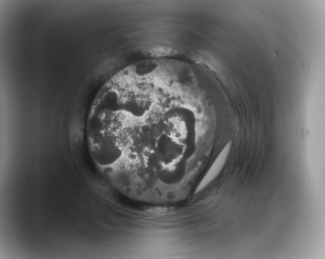 X0000088140499200706111428