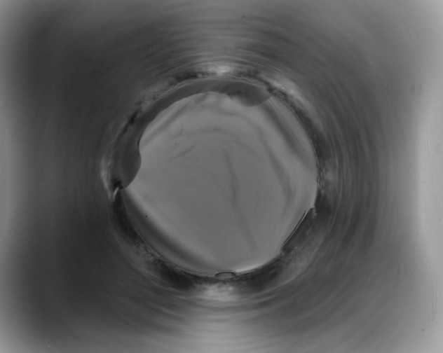 X0000088140500200706111428