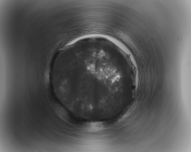 X0000088140501200706111428