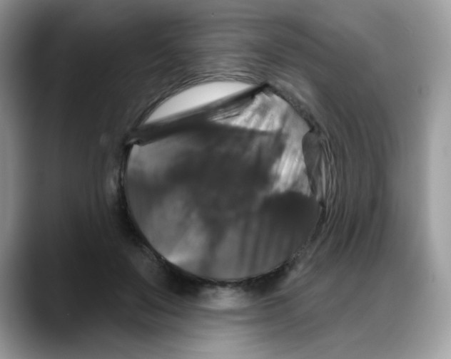 X0000088140503200706111428