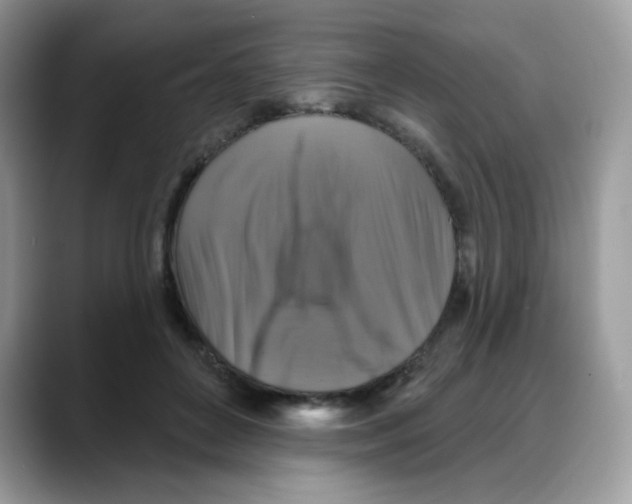 X0000088140504200706111428