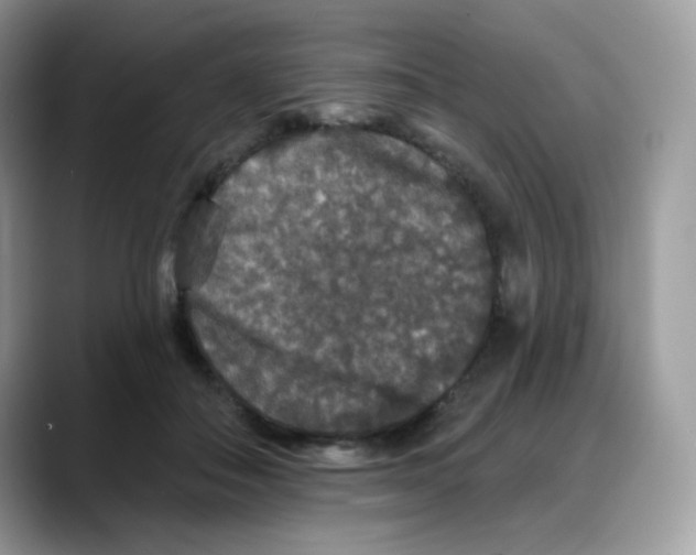 X0000088140506200706111428