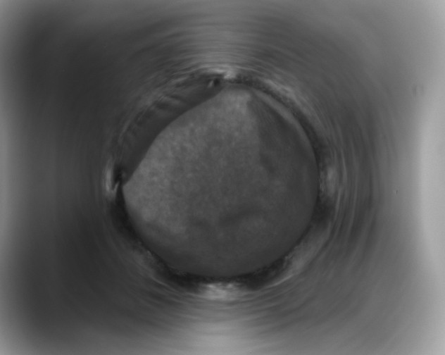 X0000088140508200706111428