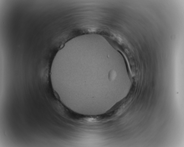 X0000088140509200706111428