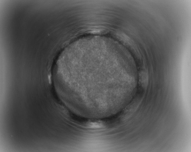 X0000088140510200706111428