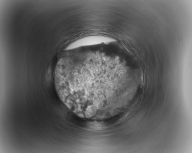 X0000088140511200706111428