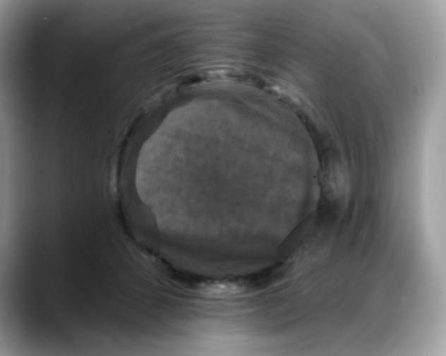 X0000088140512200706111428