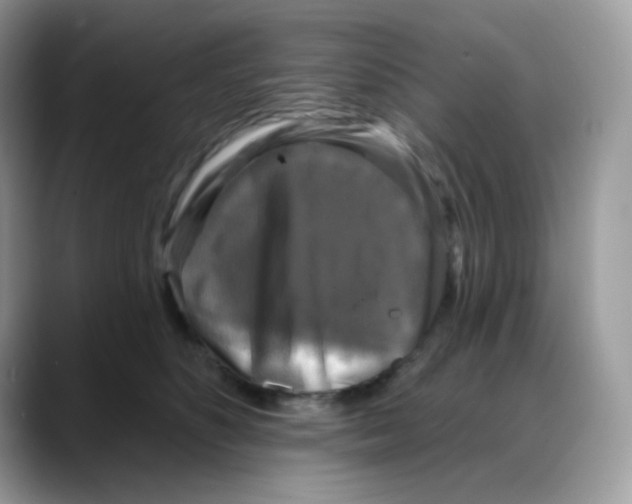 X0000088140516200706111428