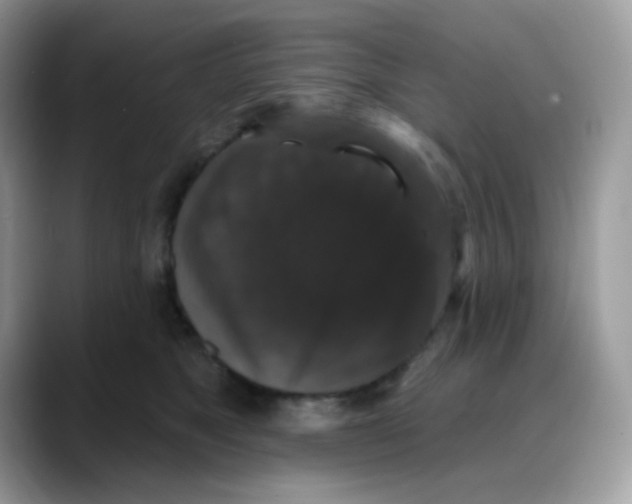 X0000088140517200706111428