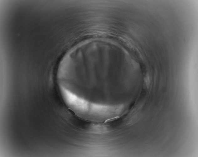 X0000088140520200706111428