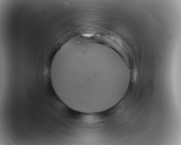 X0000088140521200706111428