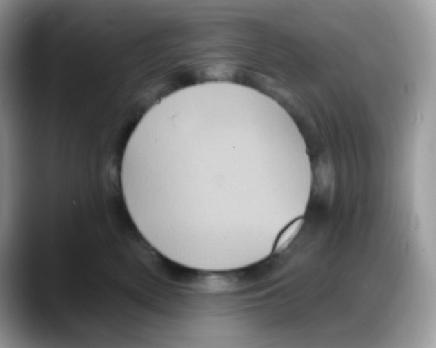 X0000088140522200706111428