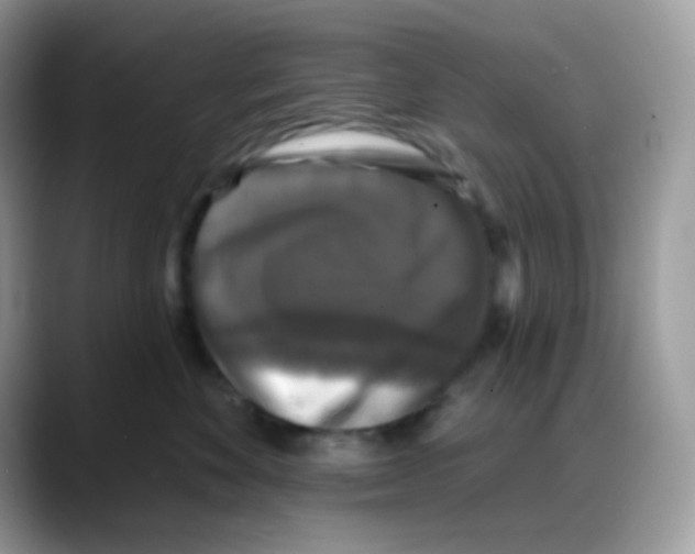 X0000088140524200706111427