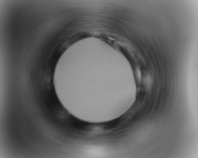 X0000088140525200706111427