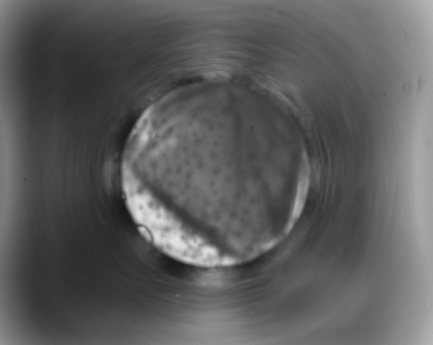 X0000088140527200706111427