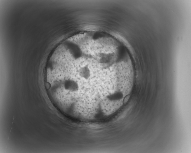 X0000088140529200706111427