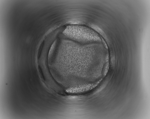 X0000088140530200706111427