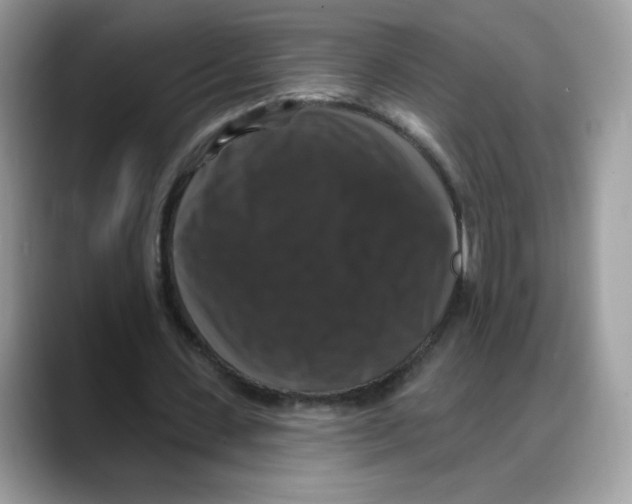 X0000088140531200706111427