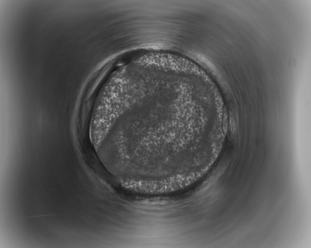 X0000088140532200706111427