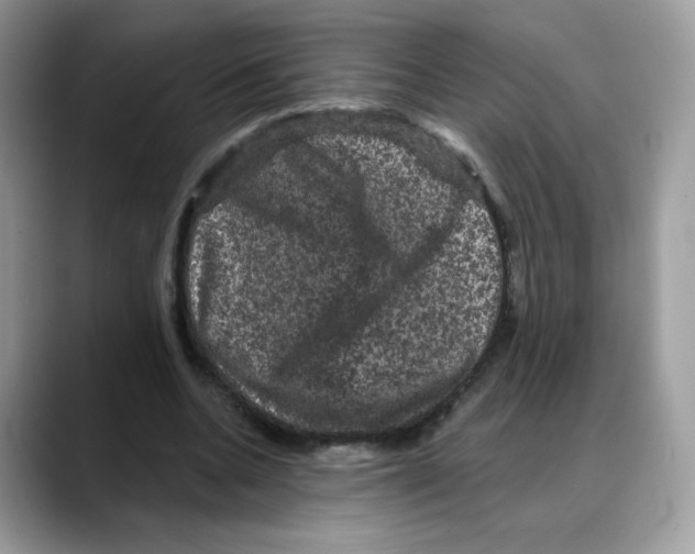 X0000088140536200706111427