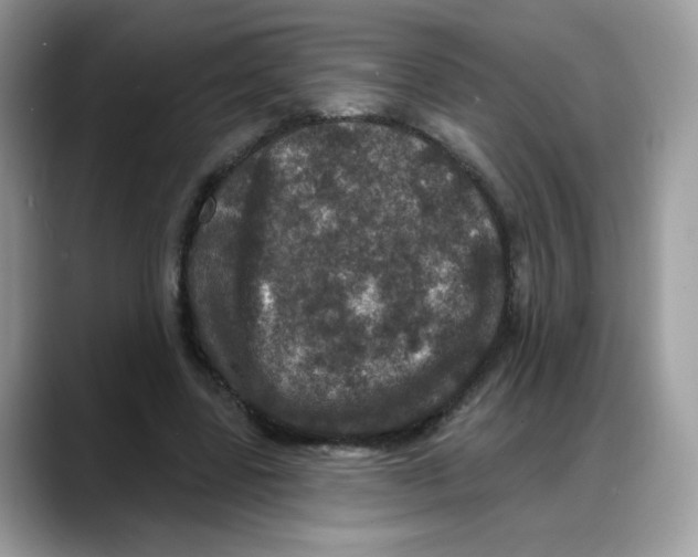 X0000088140539200706111427