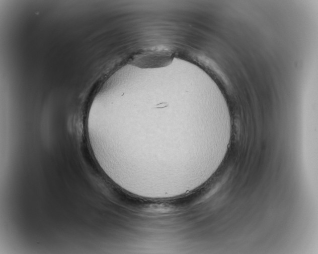 X0000088140541200706111427