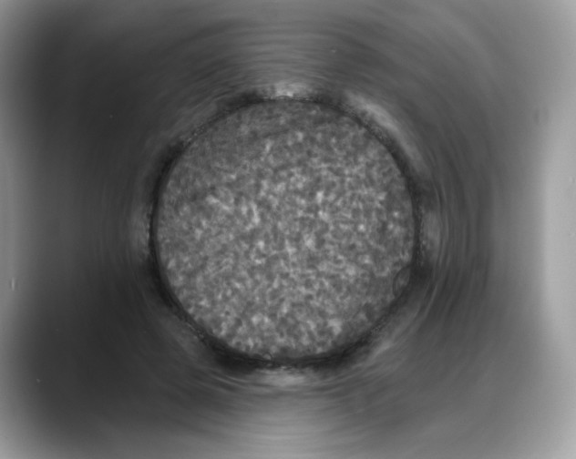 X0000088140545200706111427