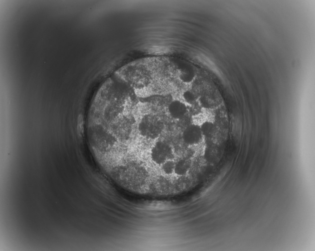 X0000088140549200706111427