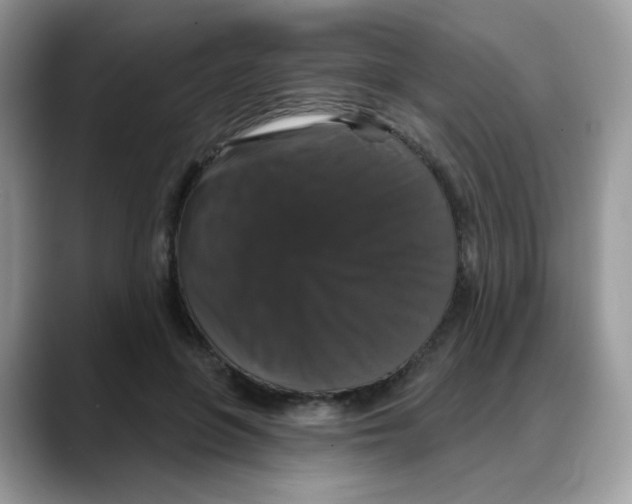 X0000088140551200706111427