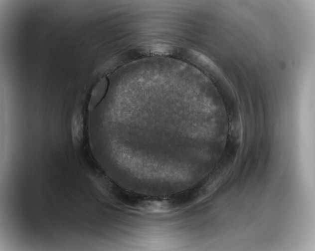 X0000088140552200706111427