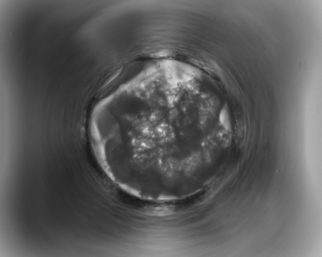 X0000088140553200706111427