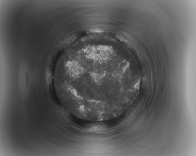 X0000088140555200706111427