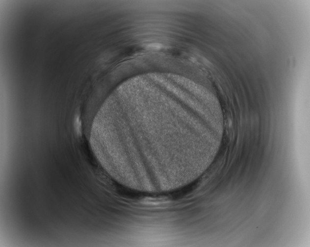 X0000088140556200706111427